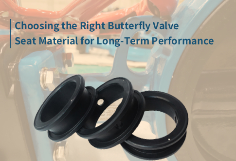 Butterfly Valve Seat.jpg