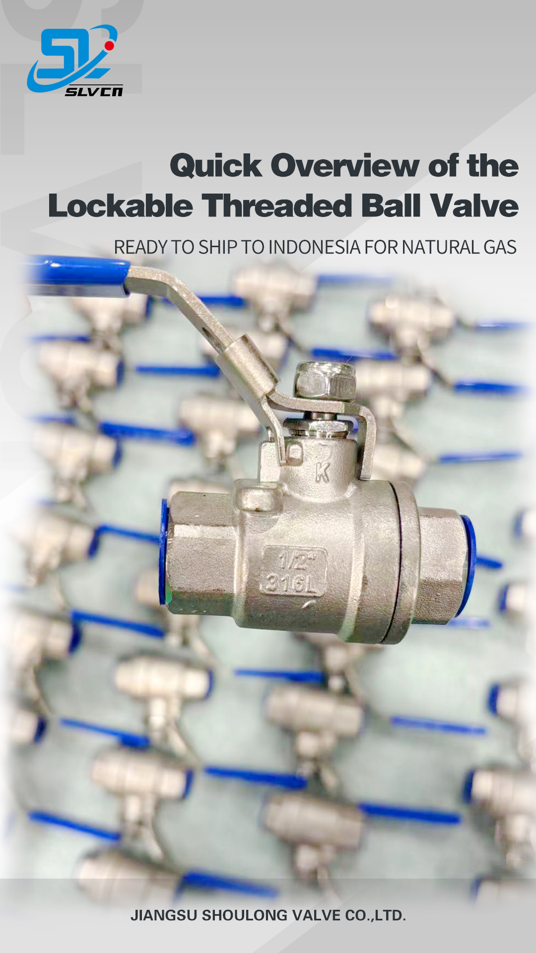 Vis&atilde;o r&aacute;pida 316L rosqueado Lockable do gasoduto natural da v&aacute;lvula de bola