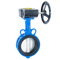 V&aacute;lvula de borboleta fluorina forrada el&eacute;trica