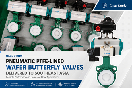 Butterfly Valve (1).jpg